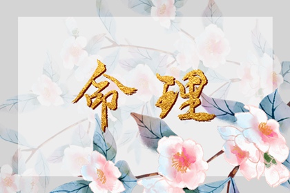 万年历日历黄历_日历全年黄道吉日_2026年日历表